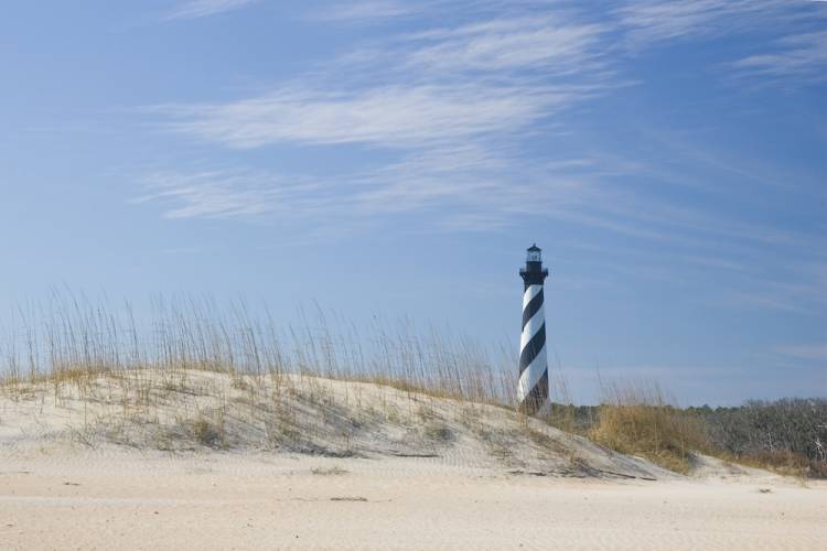 cape lookout national seashore pet friendly