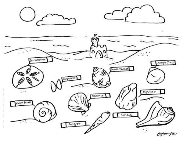 coloring sheet of seashells on beach