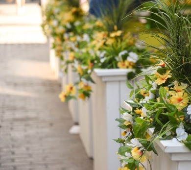 Flowers in planters along wall of home for curb appeal | Sun-Surf Emerald Isle Real Estate