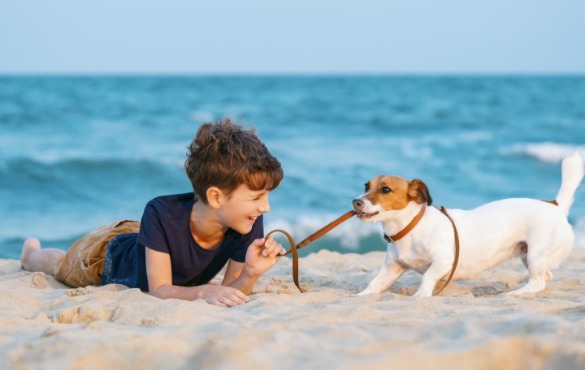 Boy playing with leashed dog on the beach | Sun-Surf Emerald Isle Rentals