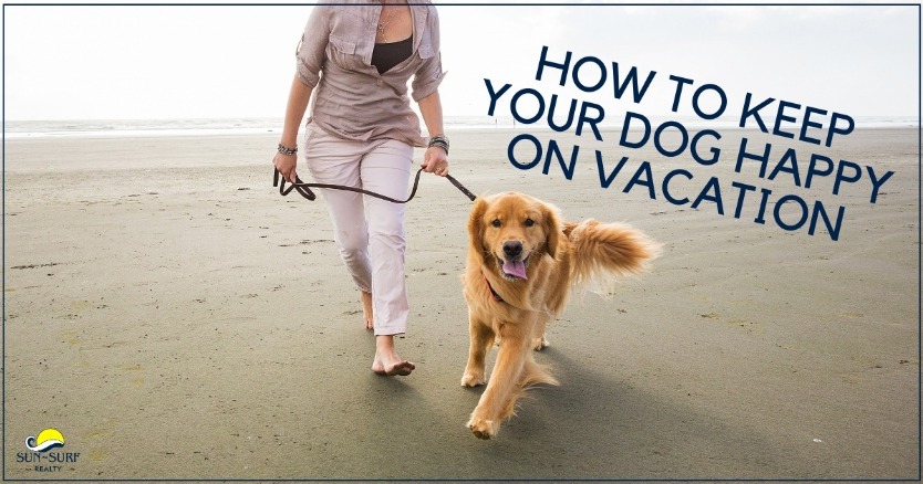 How to Keep Your Dog Happy on Vacation