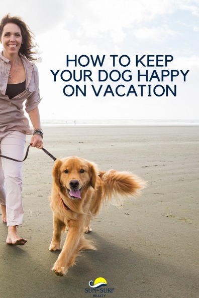How to Keep Your Dog Happy on Vacation