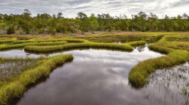 Maritime beauty near Emerald Isle, NC  | Sun-Surf Realty Emerald Isle Vacation Rentals