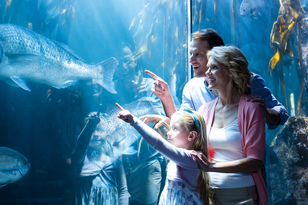 A family at the aquarium, one of the top family activities near Emerald Isle, NC.